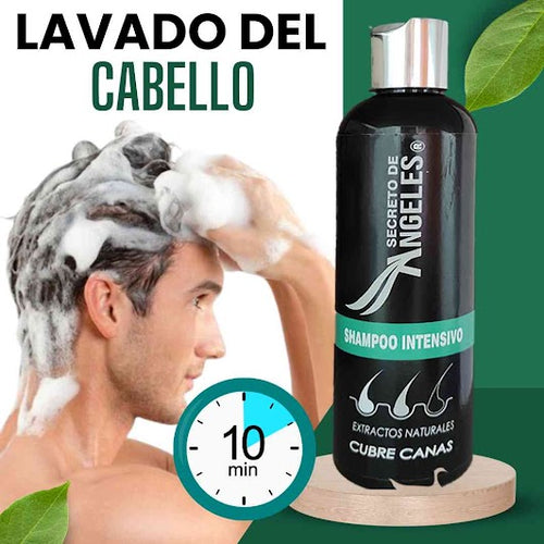 Shampoo cubre canas - CubreMax