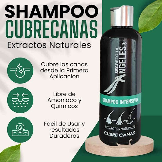 Shampoo cubre canas - CubreMax