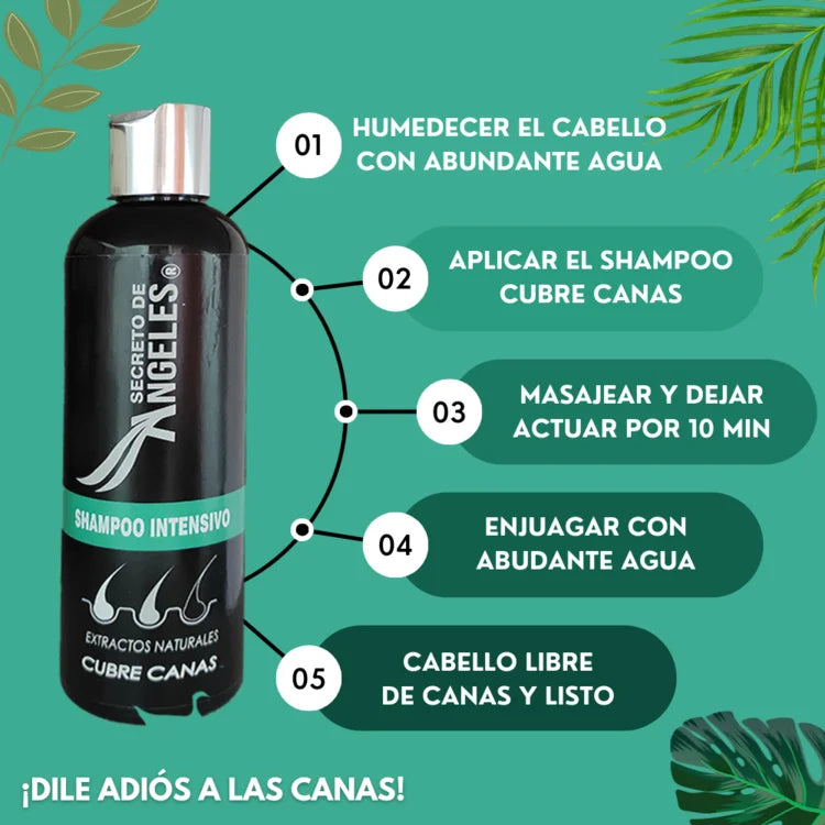 Shampoo cubre canas - CubreMax